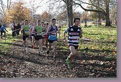 Begles 15.12.13 01 558 * 679 x 453 * (228KB)